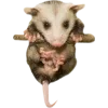 🫥