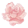 🌸