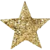 🌟