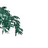 🎋