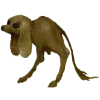 🐶