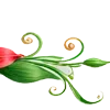 🌺