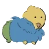 🌟