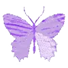 🦋