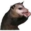 🫥