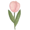 🌷