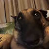 😐