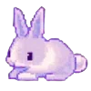 🐇