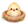 🐥
