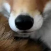 😋
