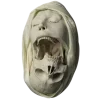💀