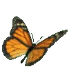 🦋
