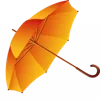 🍂