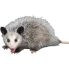 🫥
