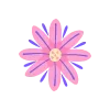 🌺