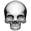 🩸