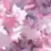 🌸