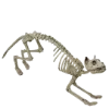 💀