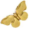 🦋
