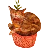 😼