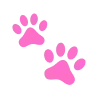🐾