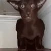 😐
