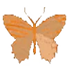 🦋