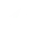 🛸