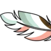 🪶
