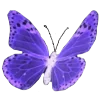 🦋