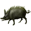 🐗