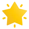 🌟