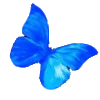 🕊️