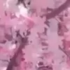 🌸