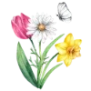 🌼