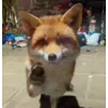😠