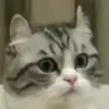 😮
