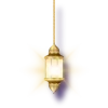 ✨