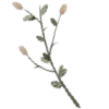 🌸