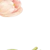 💐