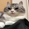 🥱
