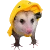 🫥