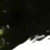 ⭐