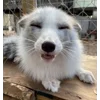 😄