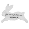 🐰