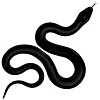 🐍
