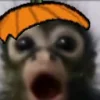 😱