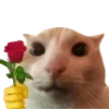 🌹