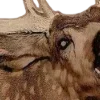 🦌