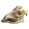 💀